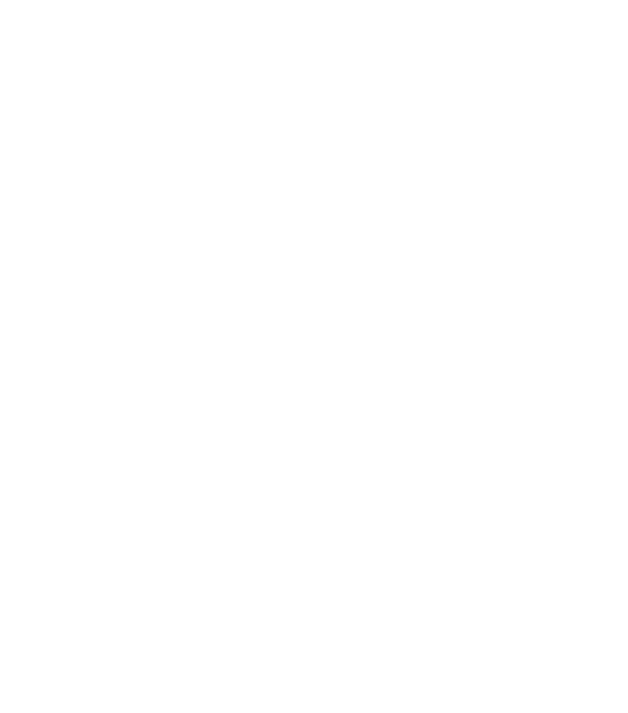 shopify logo icon