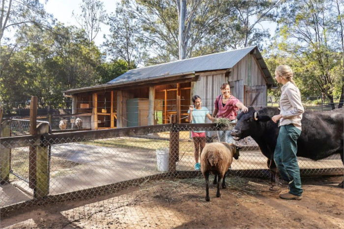 two guests petting farm animals at Ipswich nature centre