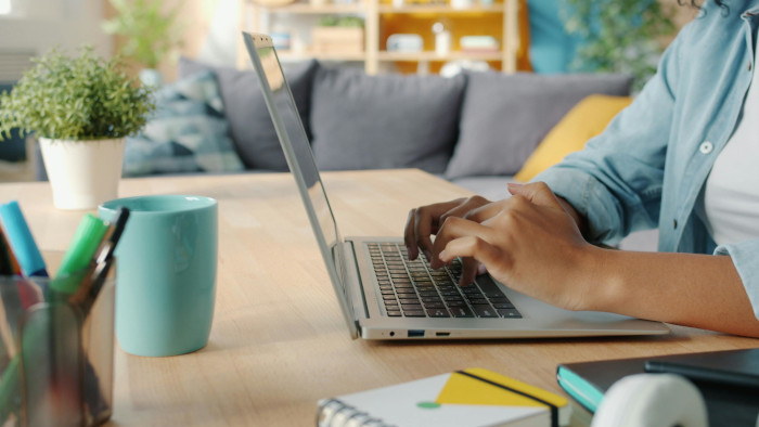 Woman Typing on Laptop in Cozy Living Room Setting